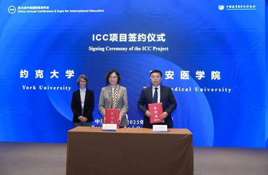 210a7eb021100d3dfd247f07eddc82e3